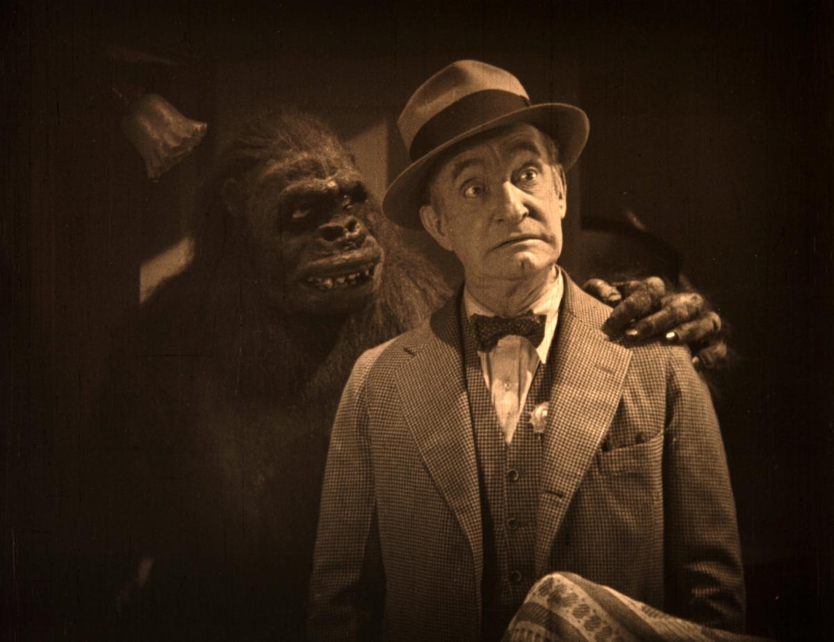 Gorilla.20